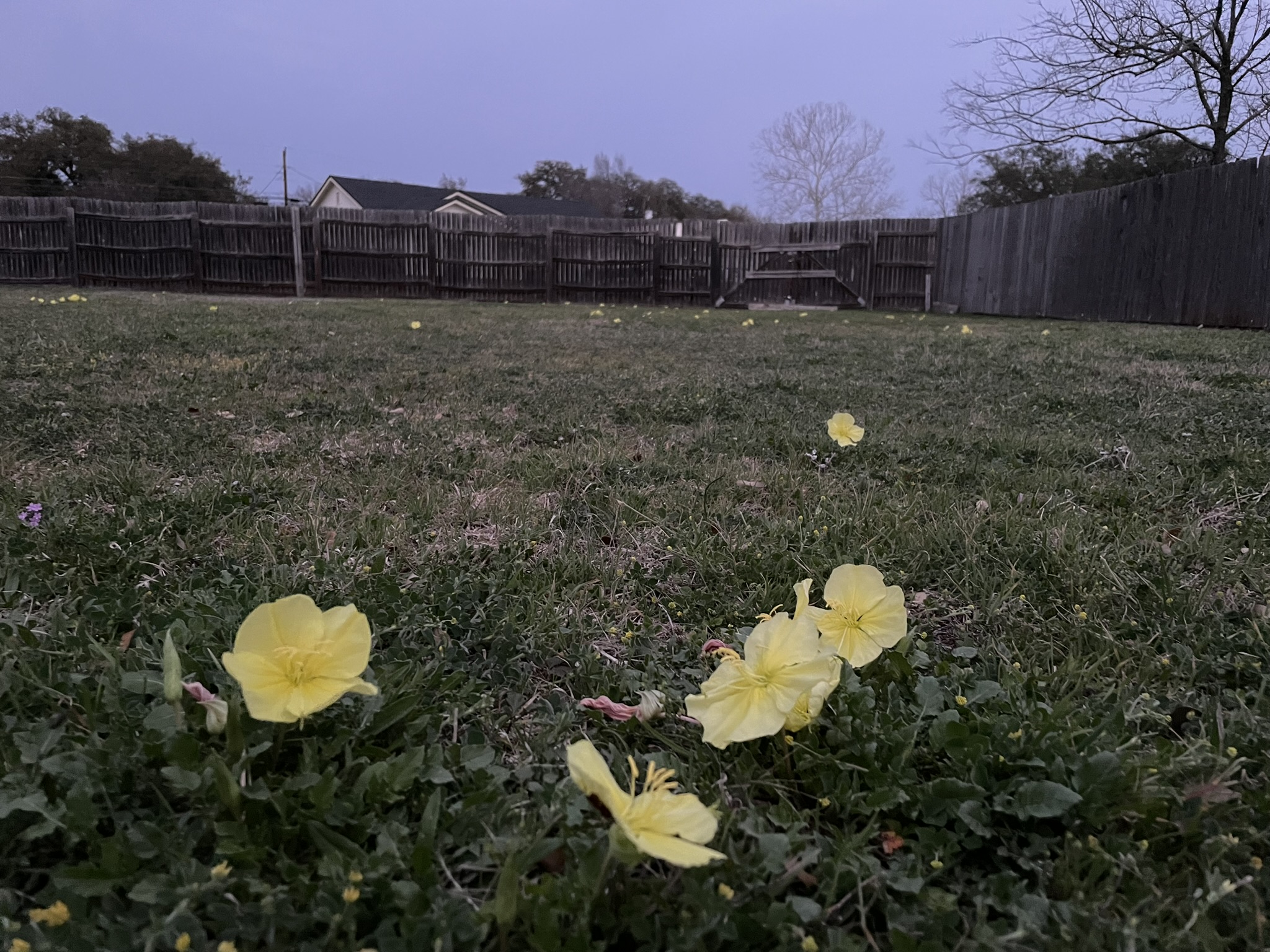 very small satellite dishes with which to receive transmissions from outer space